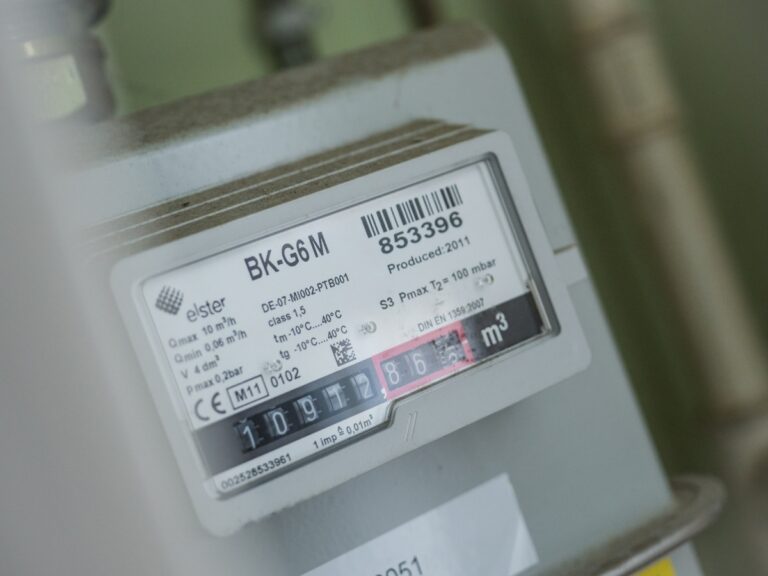 Electric meter representing energy standing charge disputes
